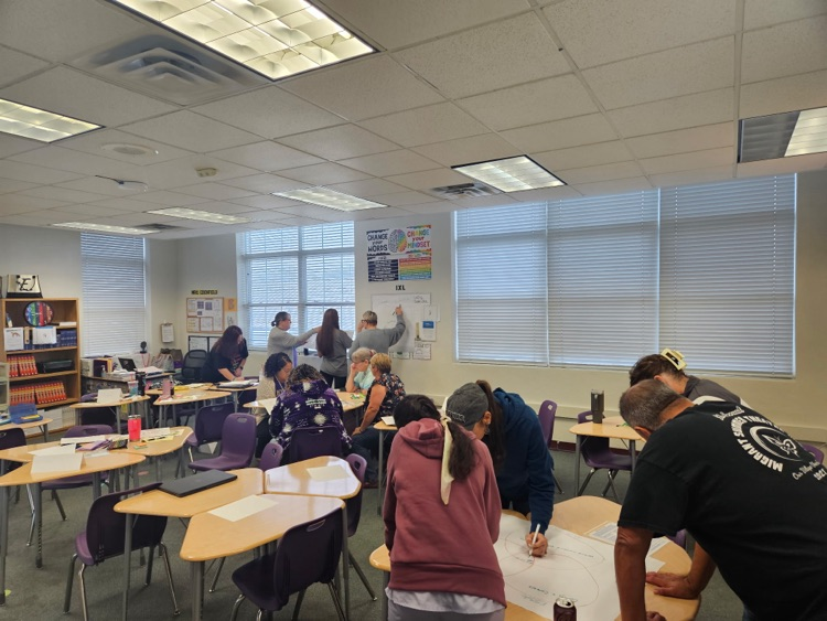 teachers in professional development