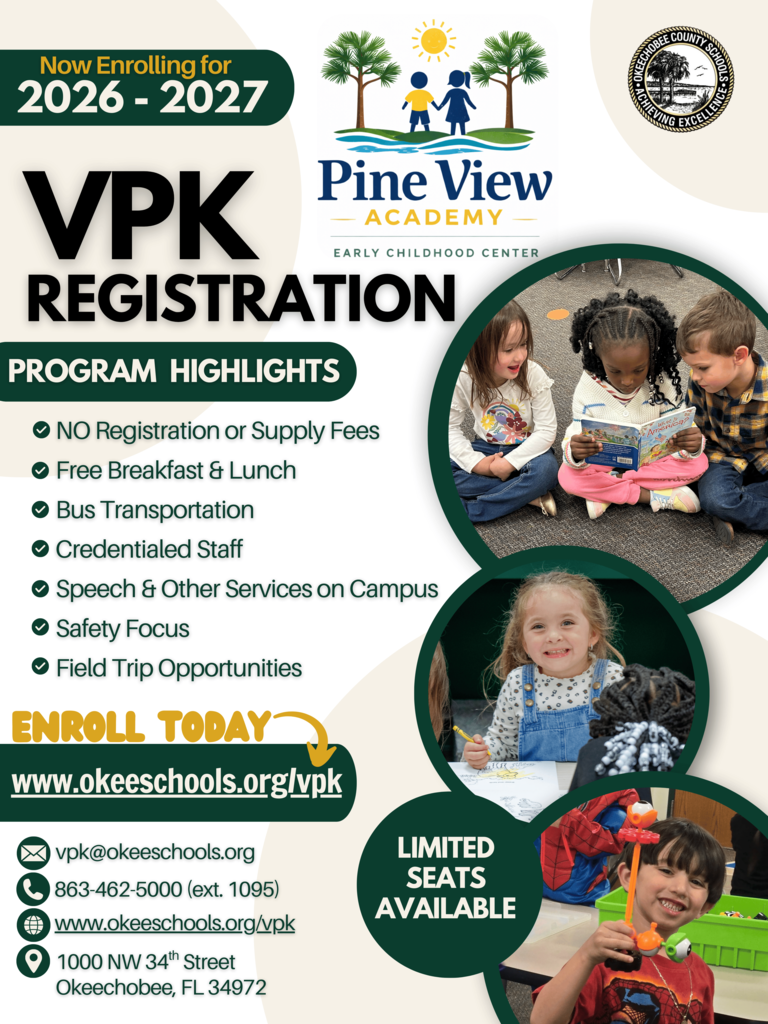 Informational Flyer for VPK in English