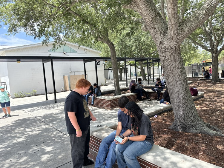 students in courtyard