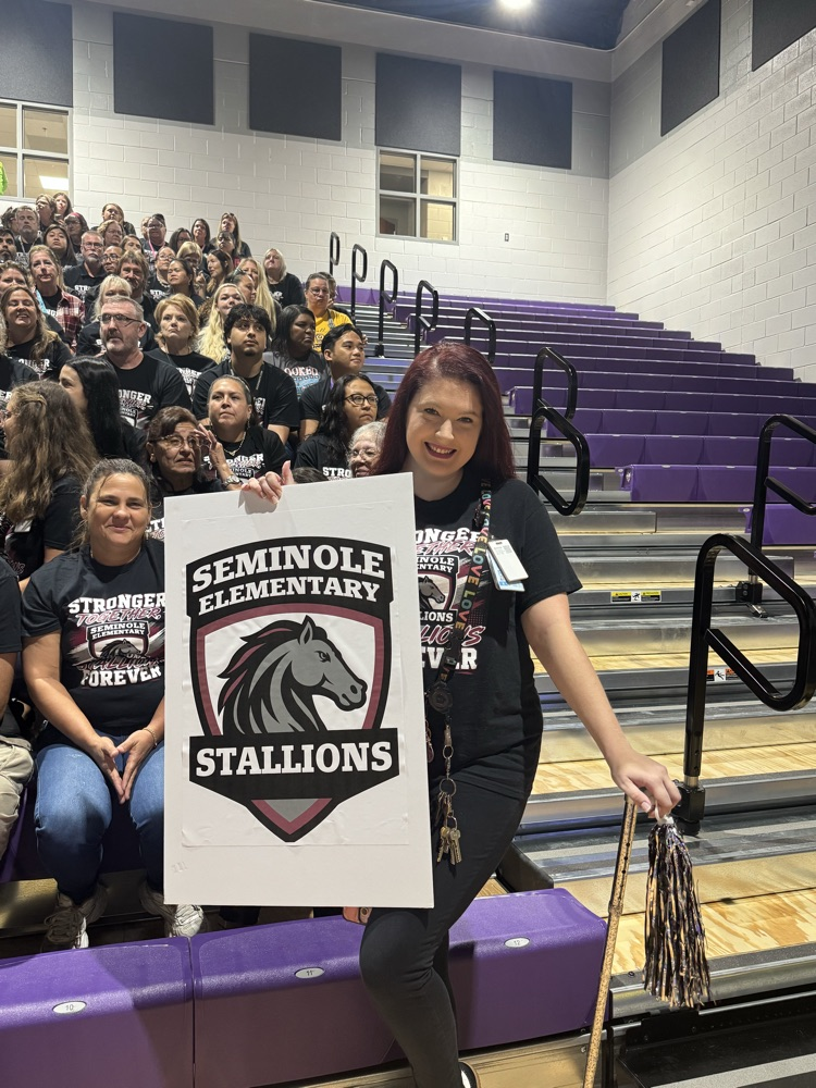 stallions