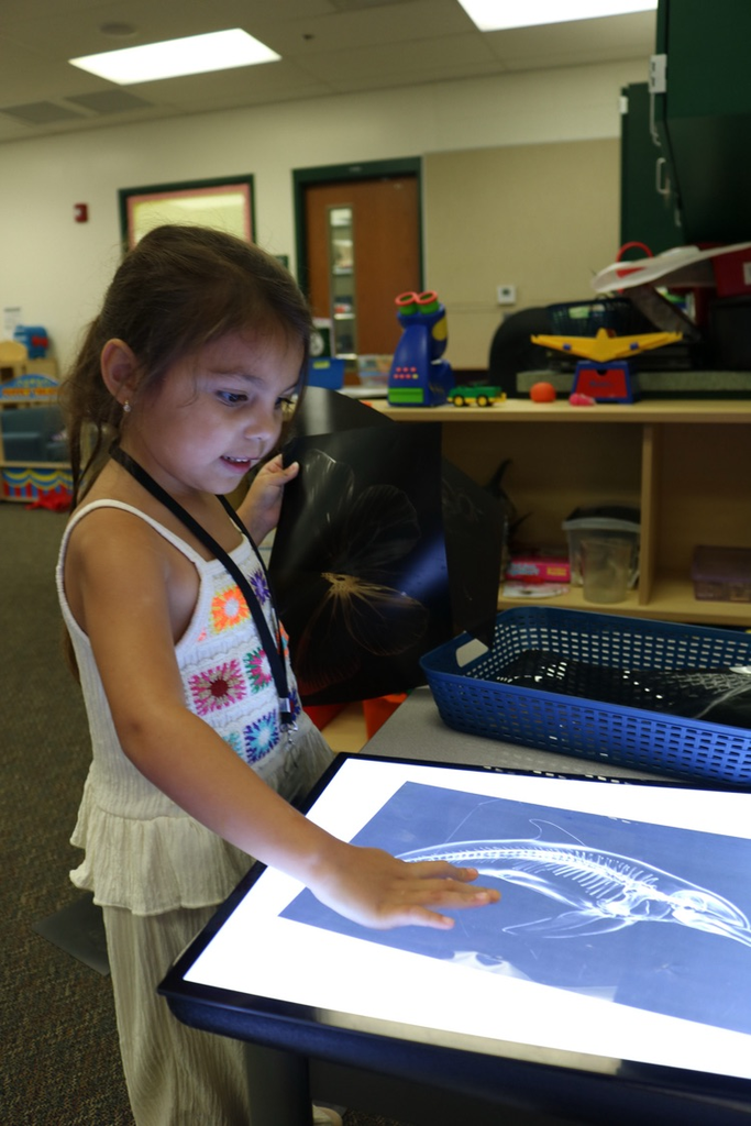 student looking at fake X-rays in class