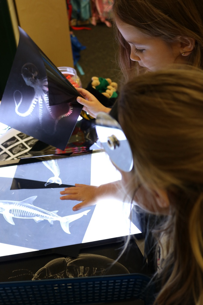 students playing with fake X-rays