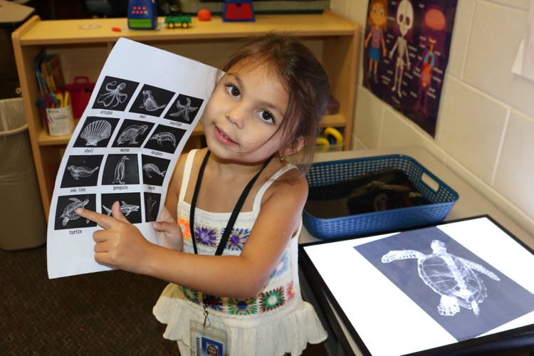 student playing with X-ray machine