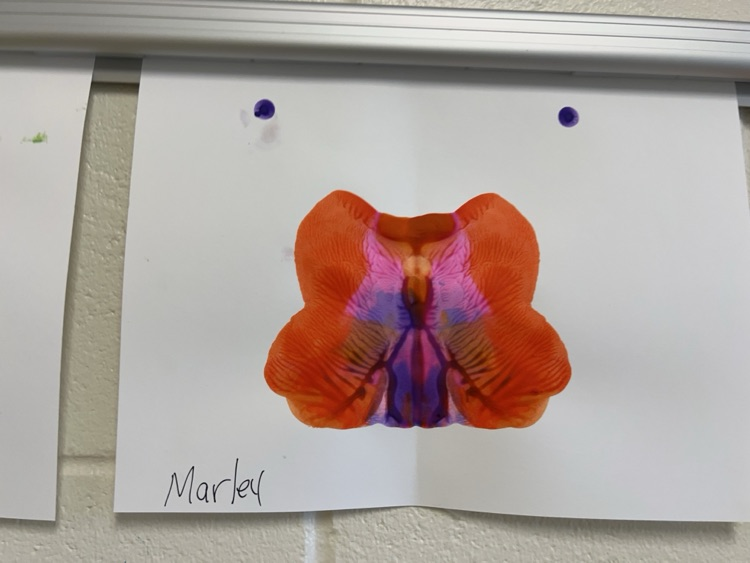 butterfly art on the wall