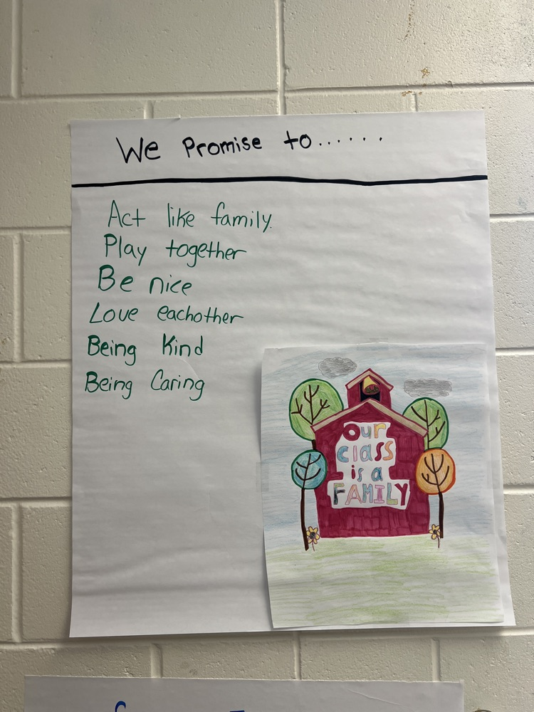 poster hung in classroom that says we promise to