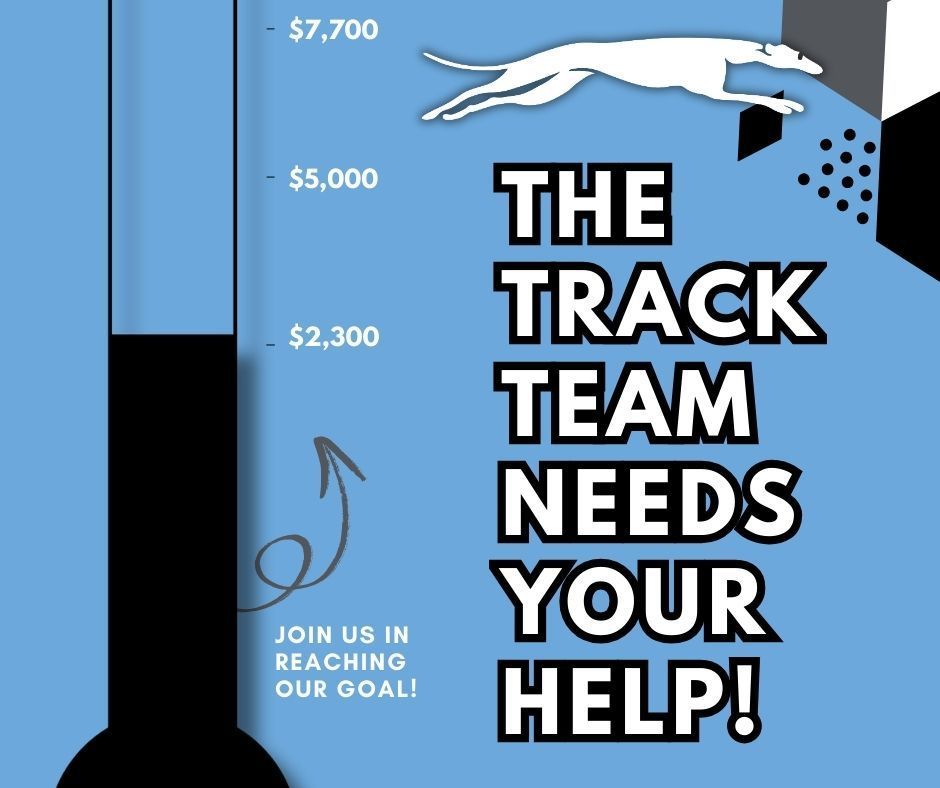 Track team