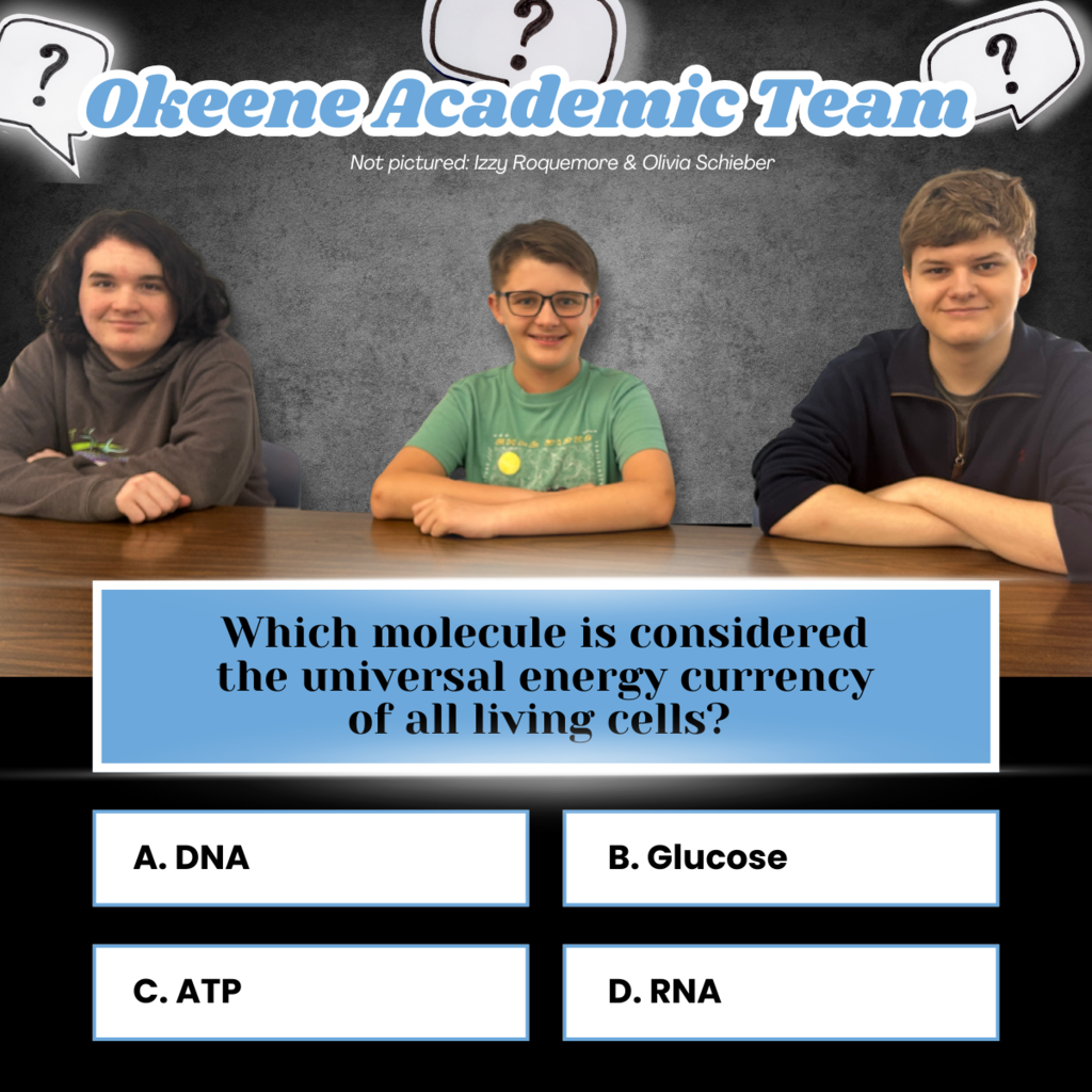 quiz