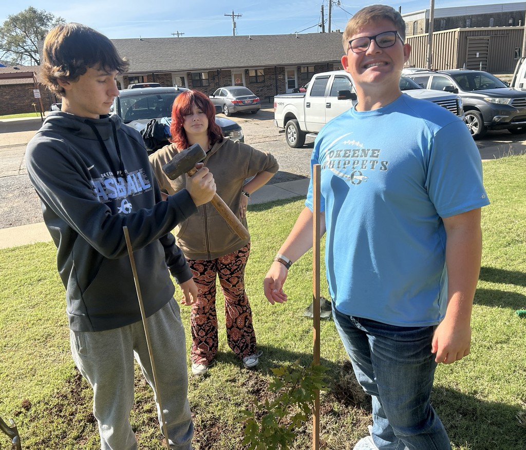 Students planting a tree.
