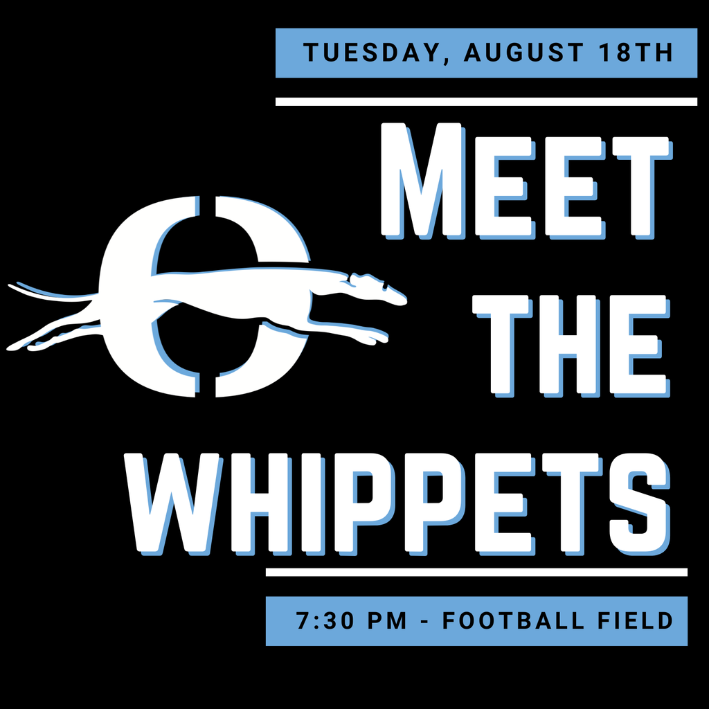 Meet the Whippets