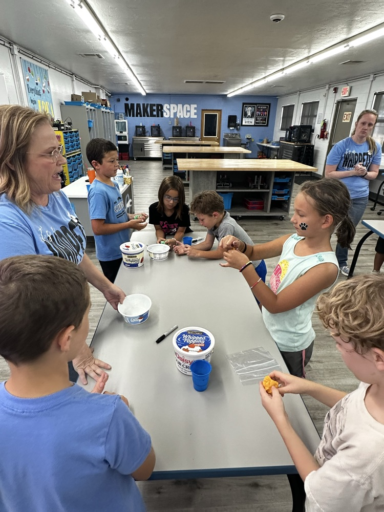 Stem Lab