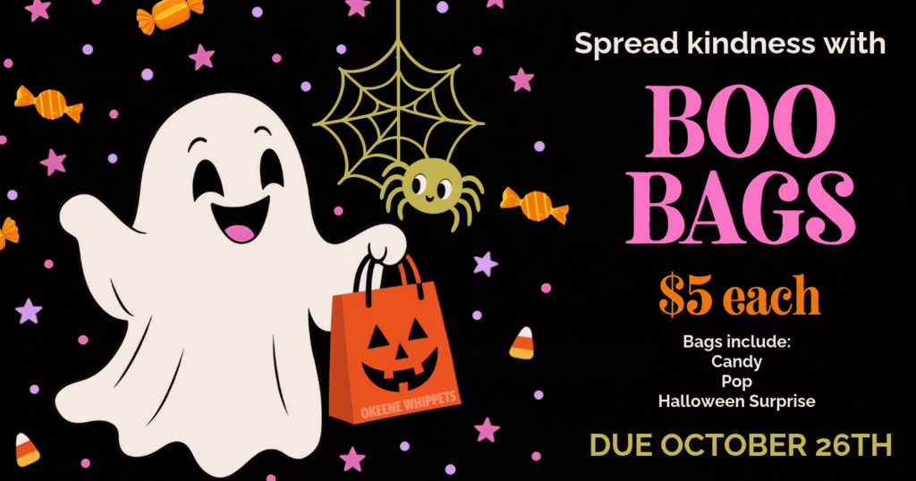 BOO BAGS