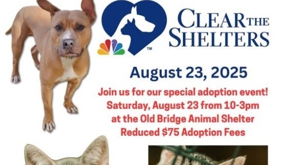 Clear the shelters flyer shows a dog and two cats, event date of August 23 , 2025 from 10am to 3pm