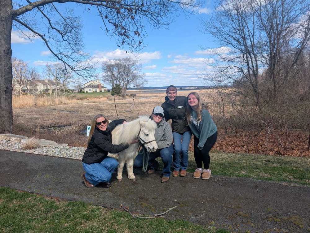 OSHS student brings Mini Therapy horses to support Senior wellness