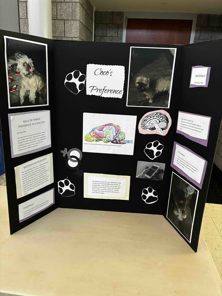 Science Fair 4