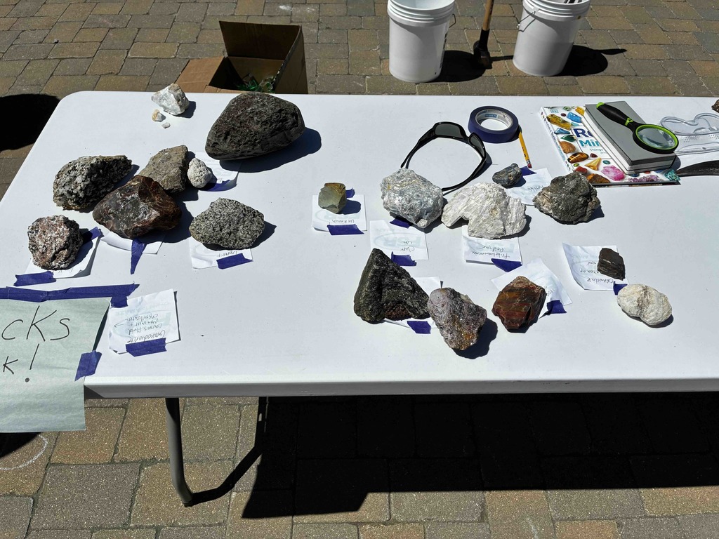 Goodwin Science Day 4