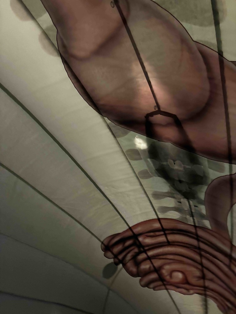 Goodwin Science Day 6