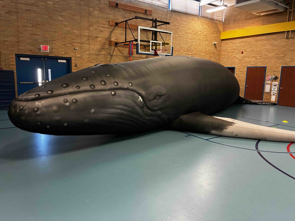 Goodwin Science Day 5