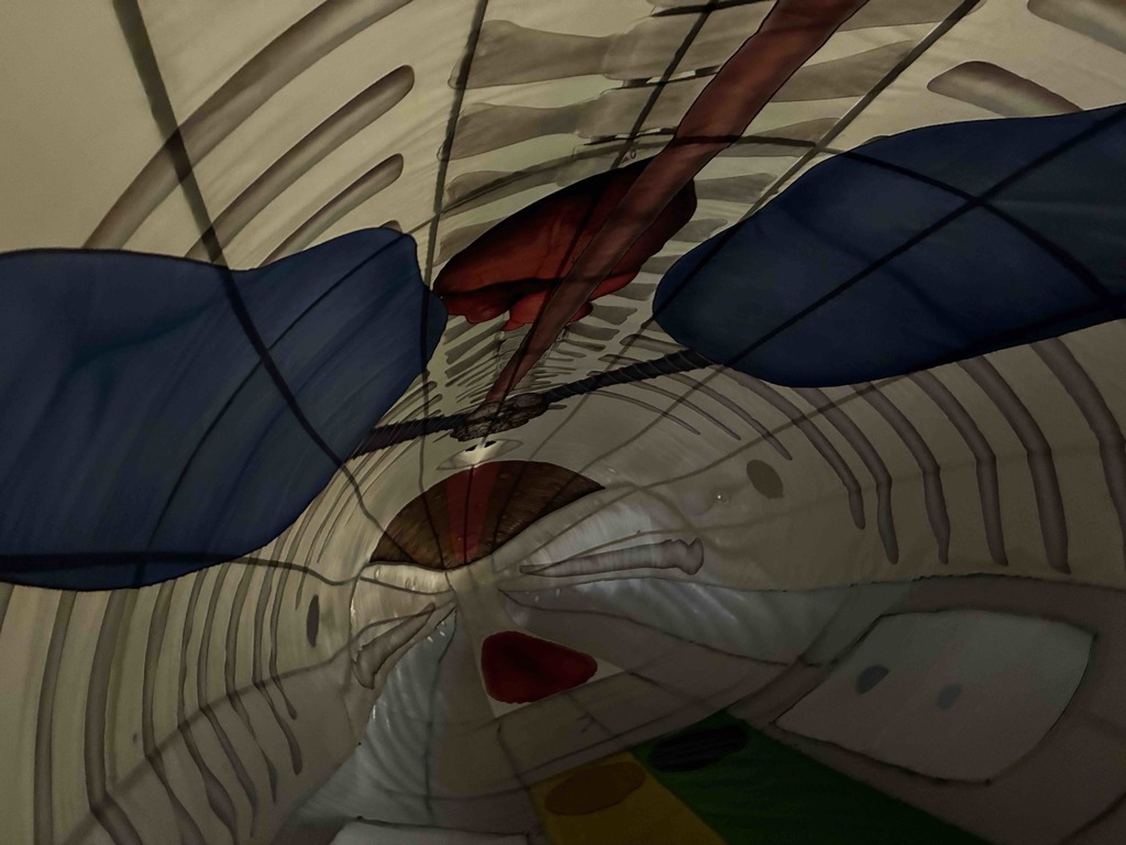 Goodwin Science Day 7