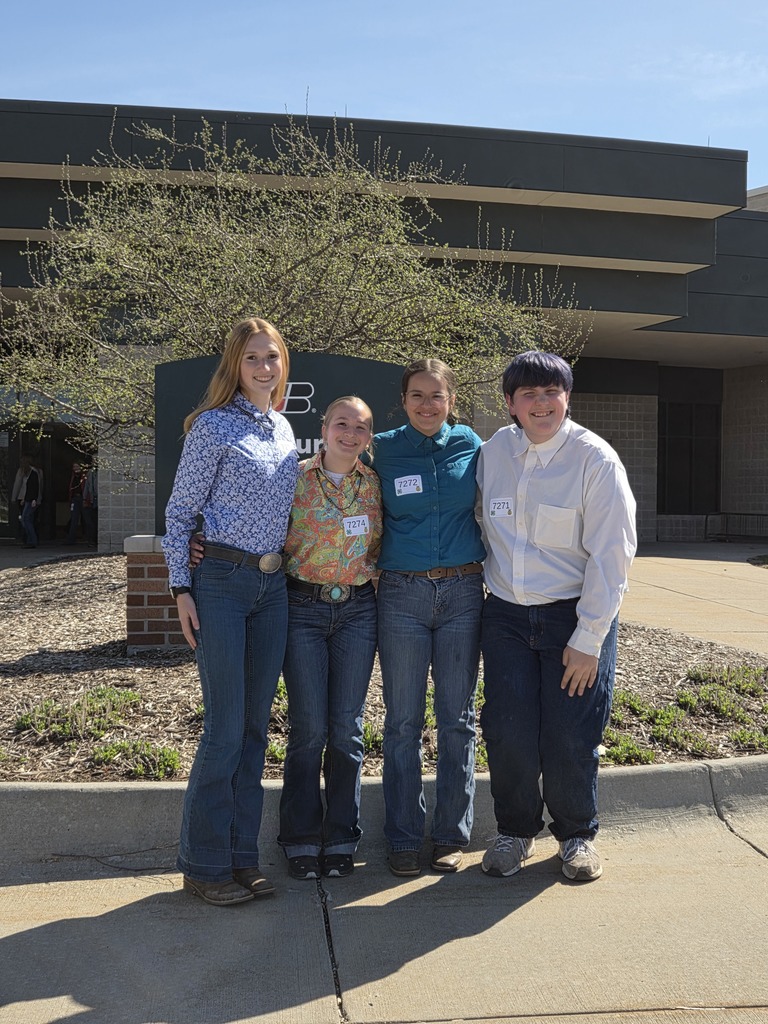 Horse Judging