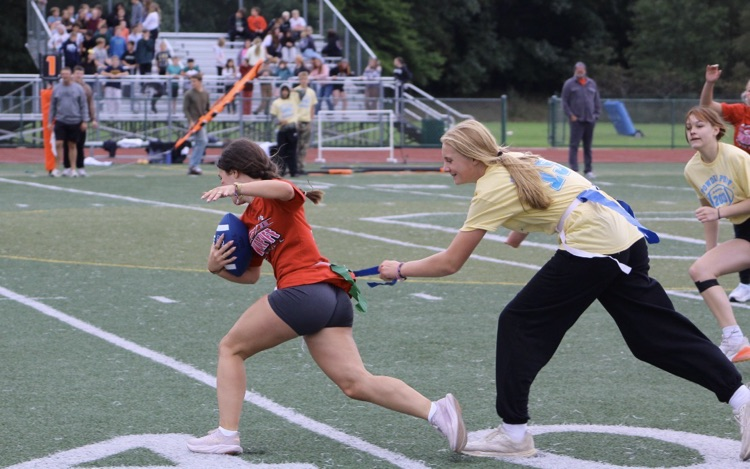 Powderpuff 