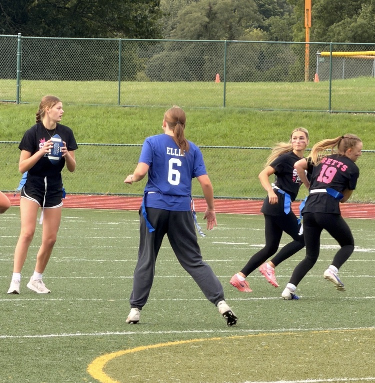 Powderpuff 