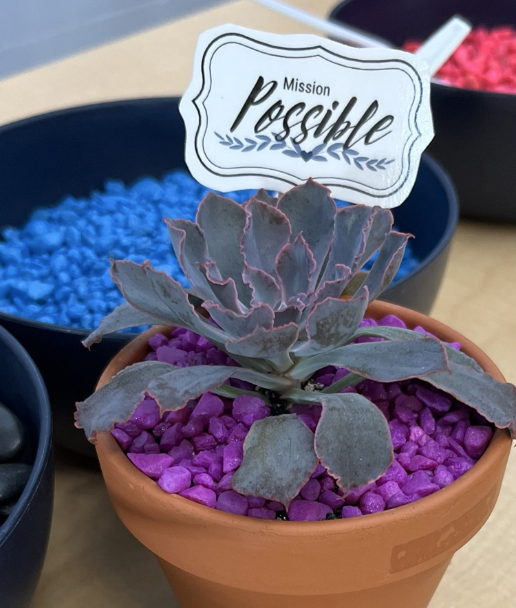 plants 