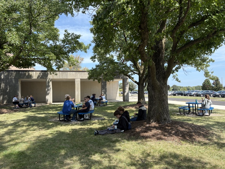 Outdoor Lunch