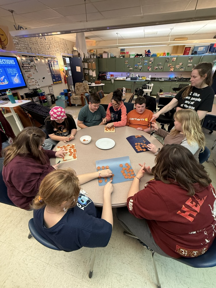 OTP 100 days of school