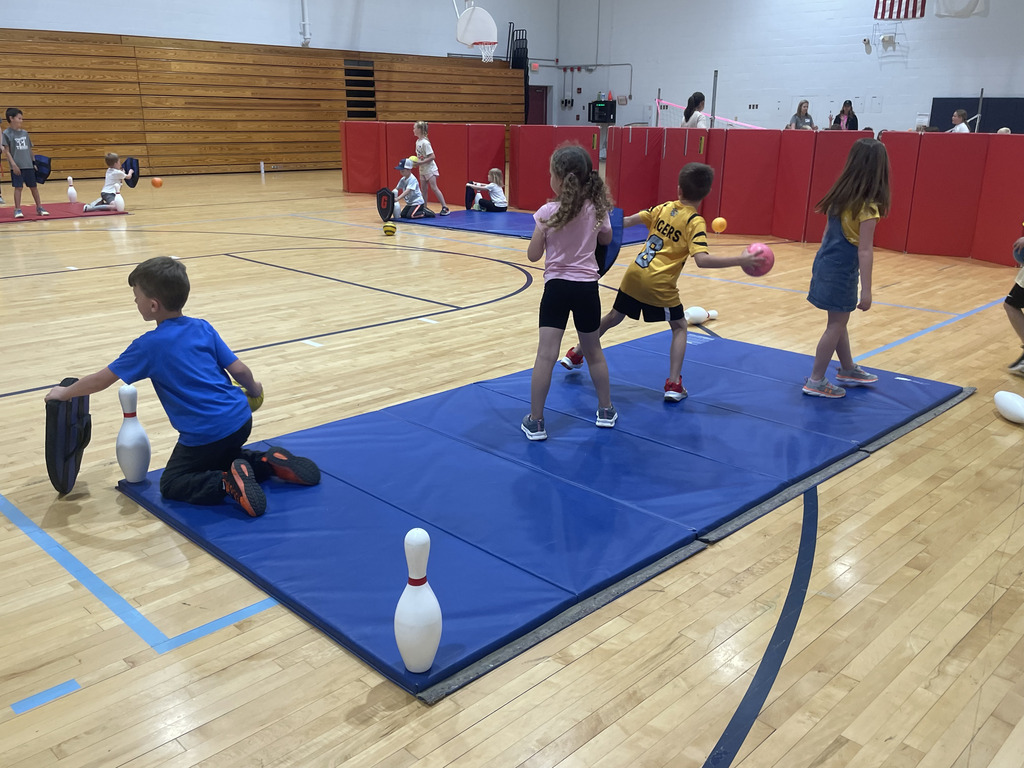 Protecting the pins in dodge ball.