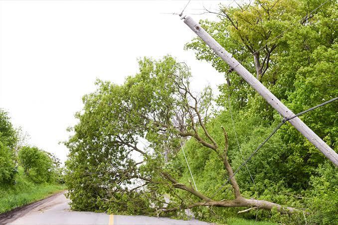 Downed Power Line