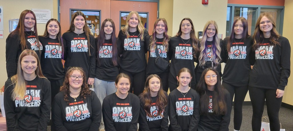 Volleyball Team Headed to State!