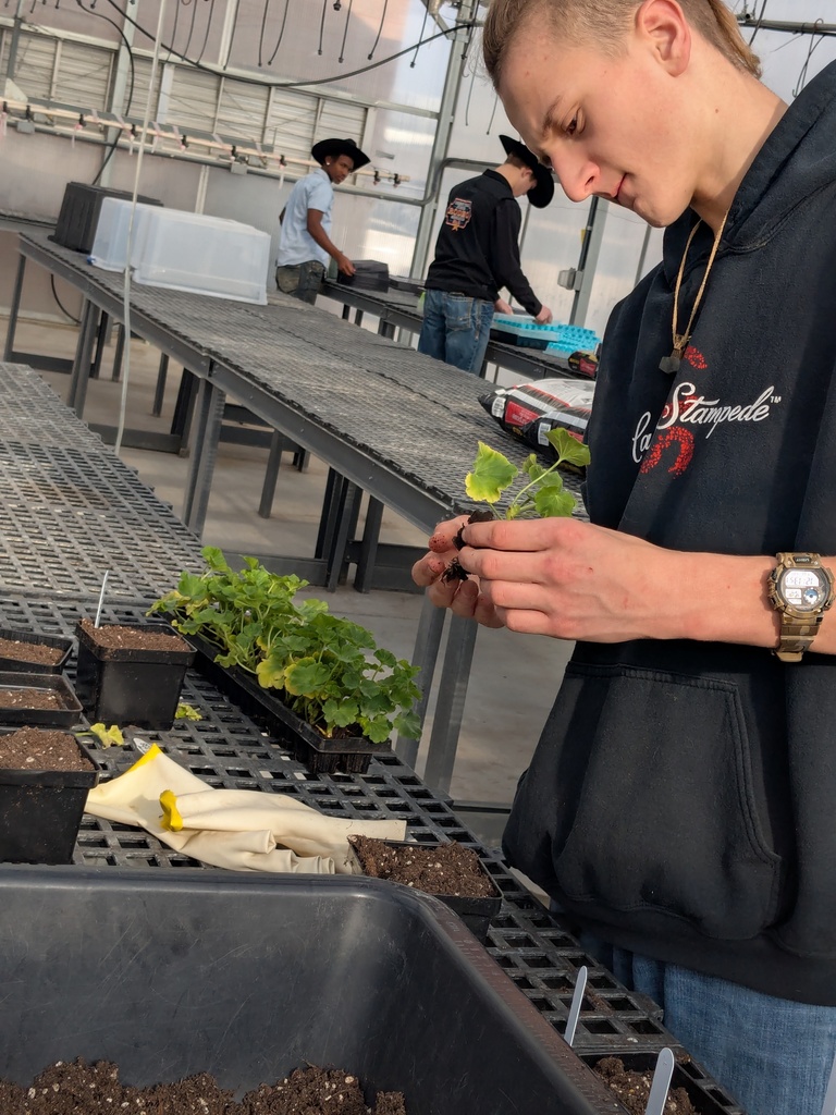 Greenhouse operations student Tommy Kirk is making his community a brighter place one geranium at a time.