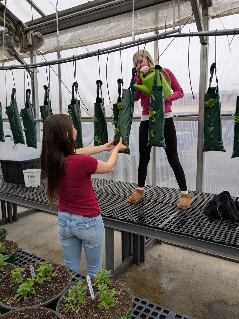 Cyelah O'Neil and Audrina Marsden take matters into their own hands to care for our flower pouches.