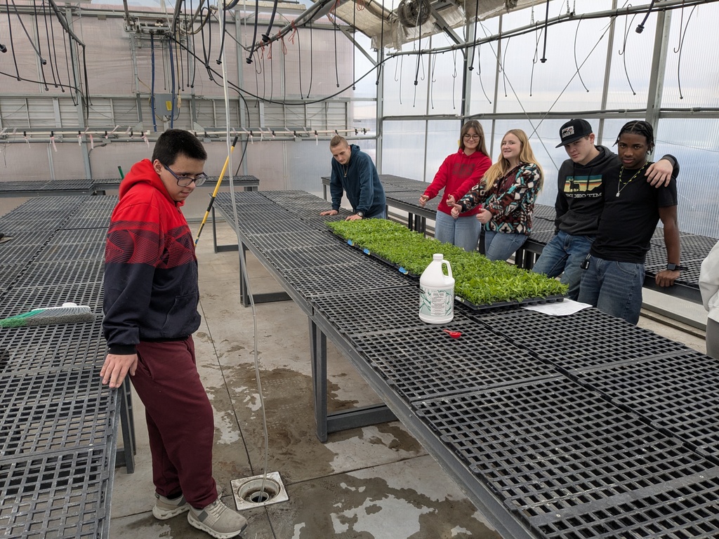 The first batch of trixiliners are aired out and inspected for order accuracy and damage.