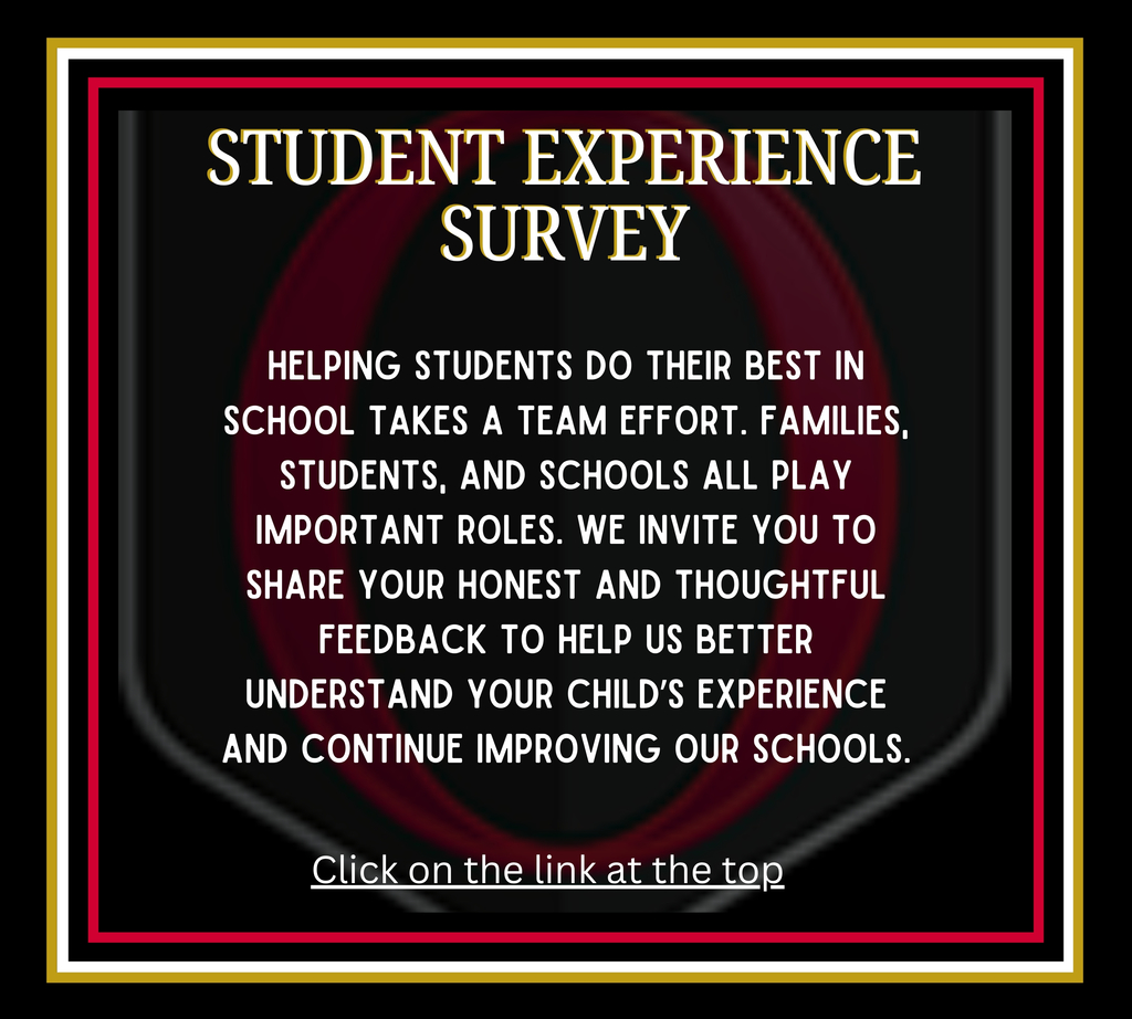 Student Experience Survey