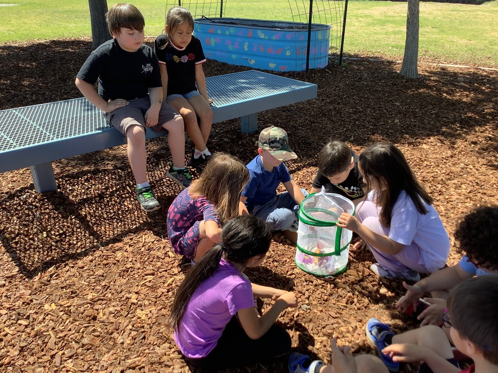 Kindergarten students got to help release the butterflies after watching their growth process.