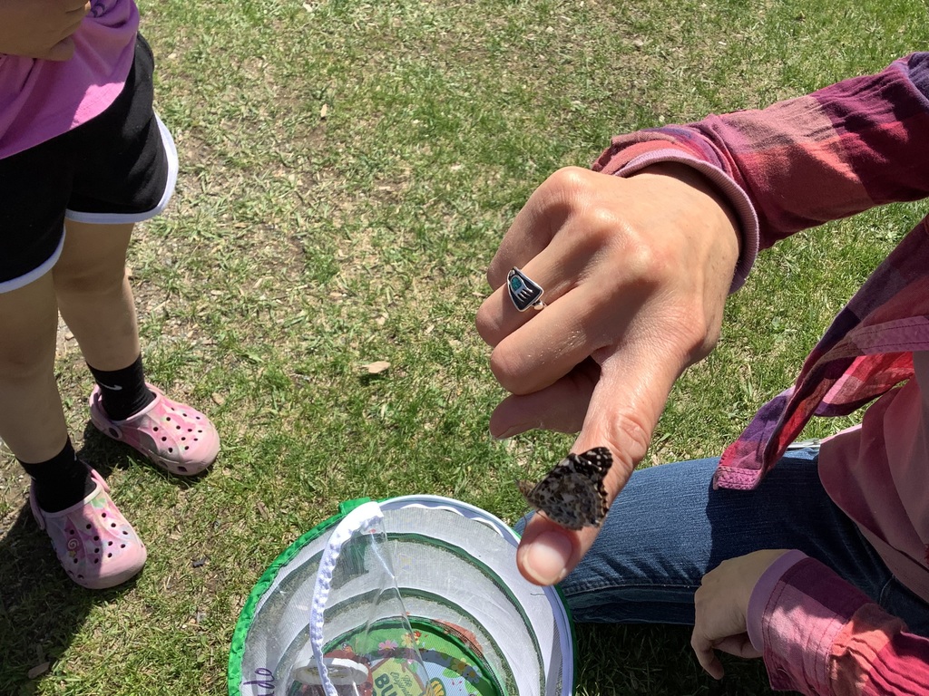A butterfly perched on a finger about to fly away.
