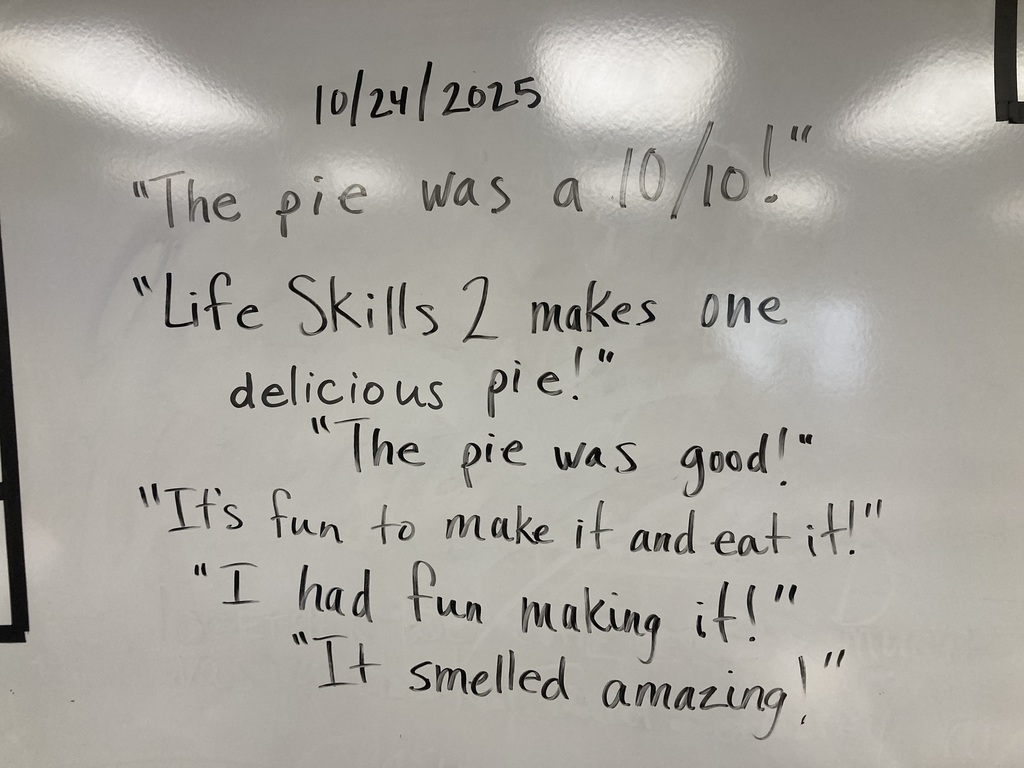 Life Skills 2 feed back on apple pies