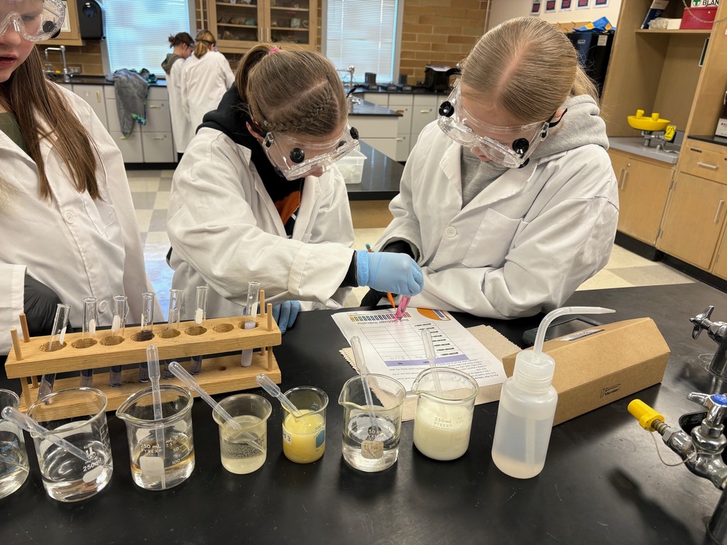 Hi Cap students participating in chemistry experiments