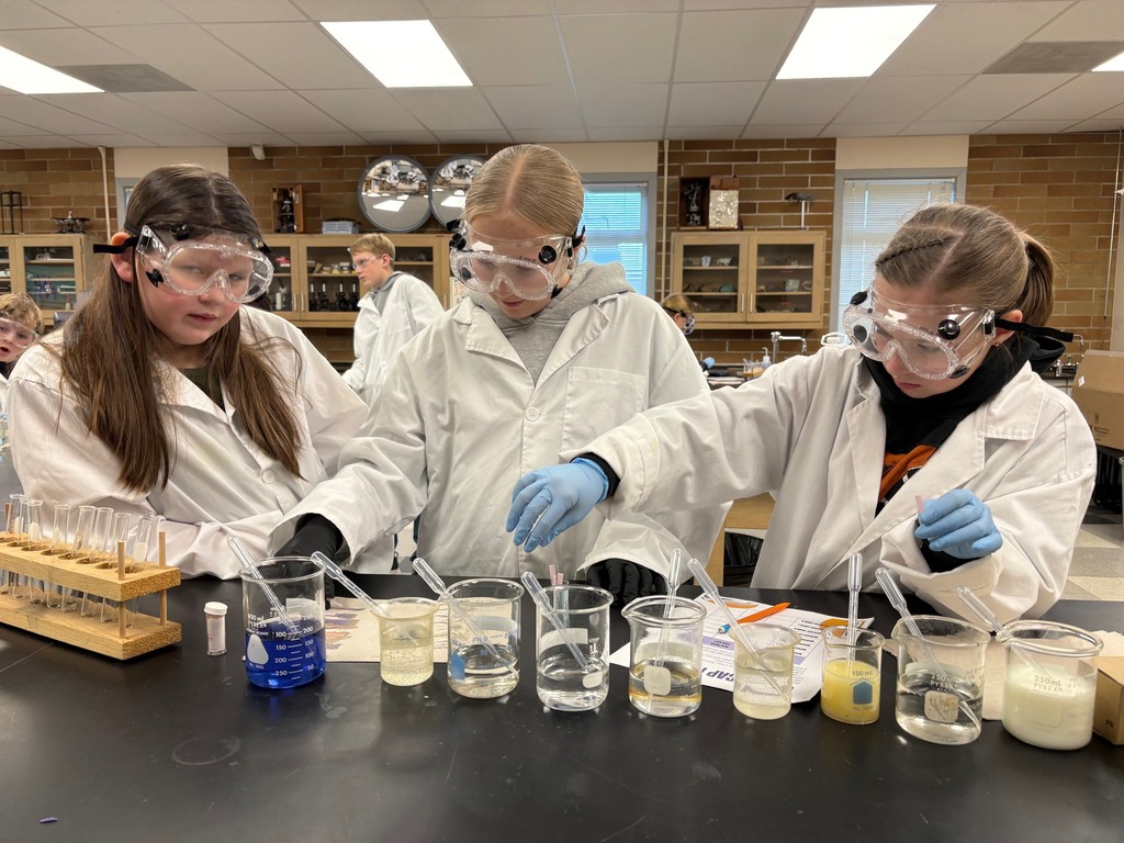 Hi Cap Students participating in chemistry experiments