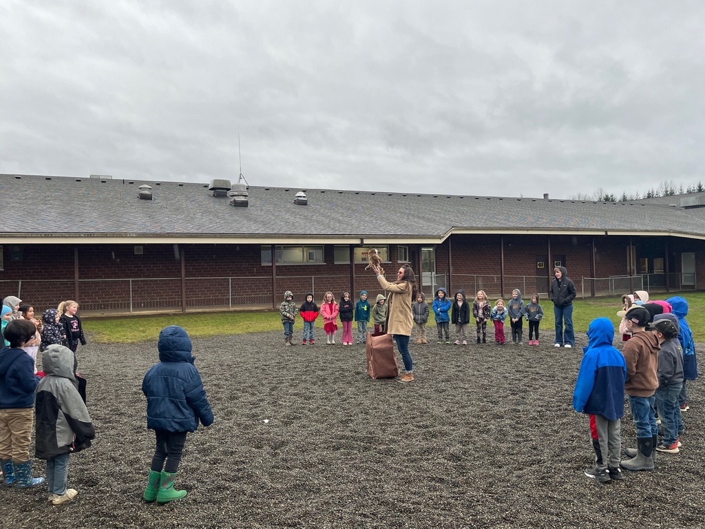 Kindergarten and the groundhog ceremony 