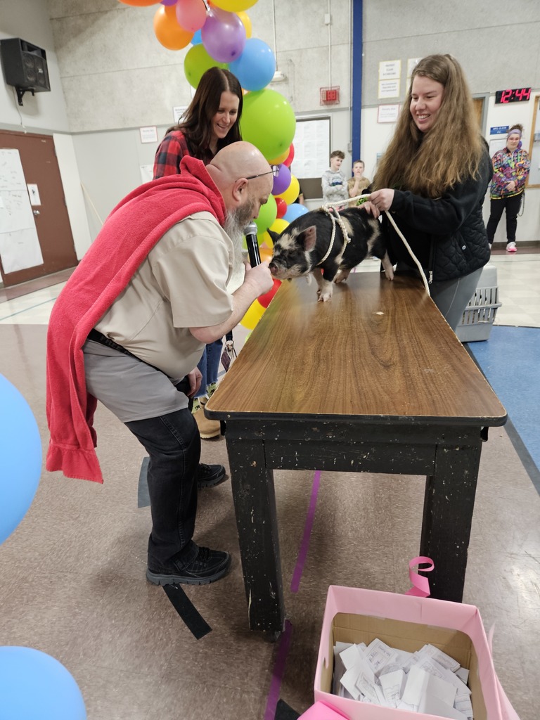 Cpt Underpants and the pig