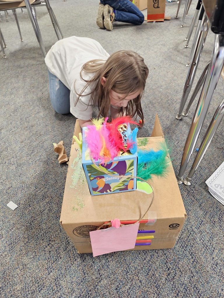 Students building and testing leprechaun traps