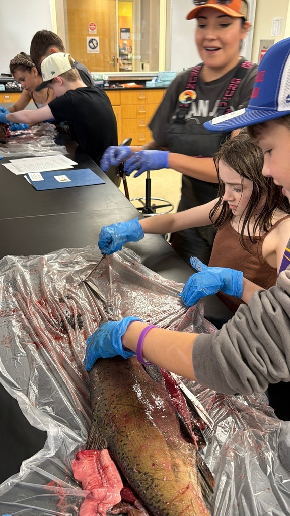 salmon dissecting class