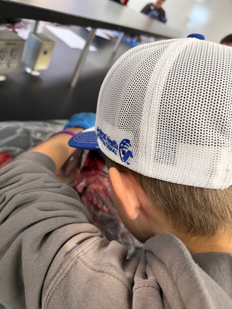 salmon dissecting class