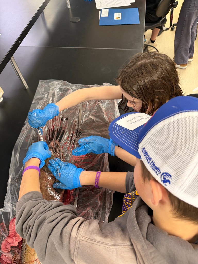 salmon dissecting class