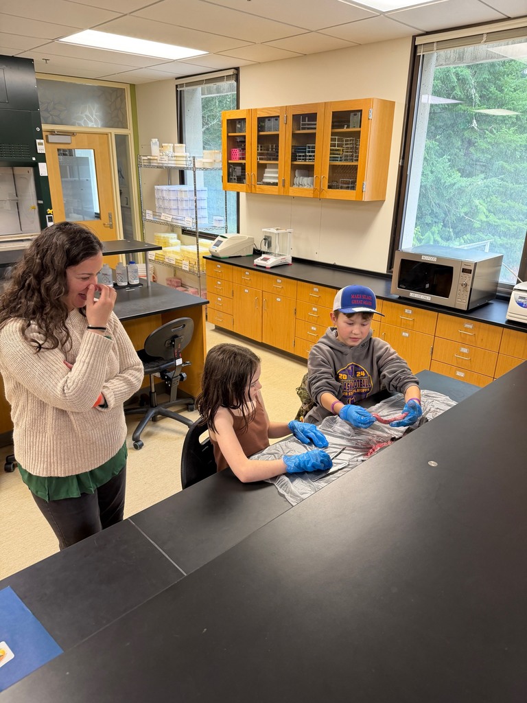 Salmon dissecting class