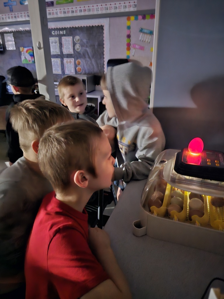 2nd grad students learning about eggs in an incubator