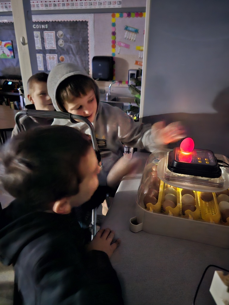 Bubba talking about candling eggs