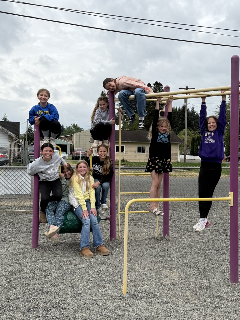 Girls posing on the 3-5 playground equipment